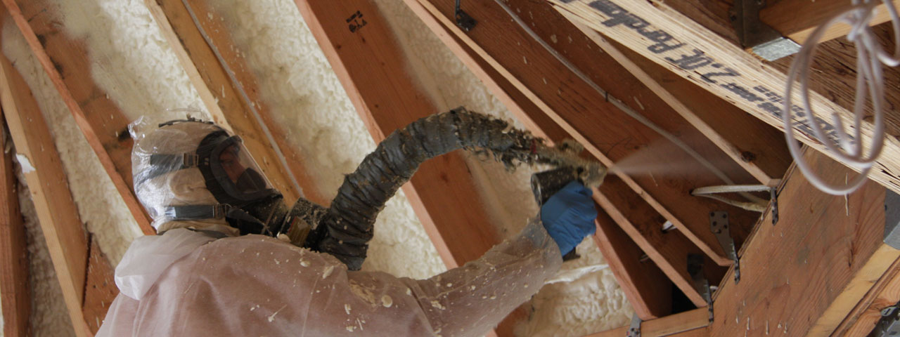 Burnaby British Columbia Attic Insulation Spray Foam